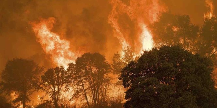 Más de 600 incendios en León en abril: el mes más crítico del trimestre