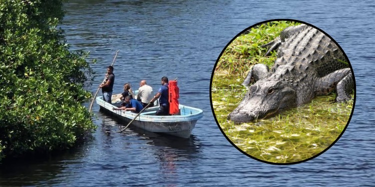 Comisión de Búsqueda de Guanajuato apoya en Michoacán para hallar a niño devorado por cocodrilo