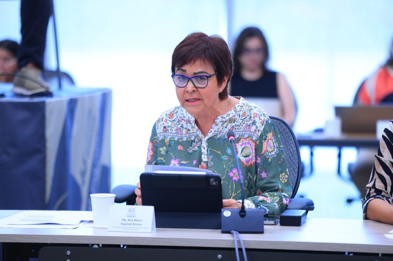 PAN defiende al Secretario de Salud y exige respeto a su presunción de inocencia