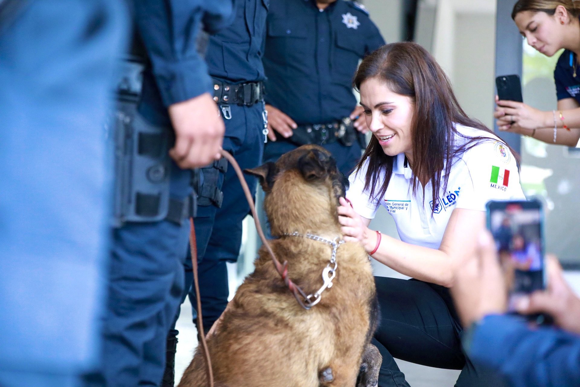 ¡Héroes con patas buscan hogar! Animales jubilados podrán ser adoptados en León