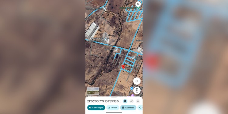 Denuncian abandono de perrito desnutrido en La Laborcita; sin respuesta de autoridades