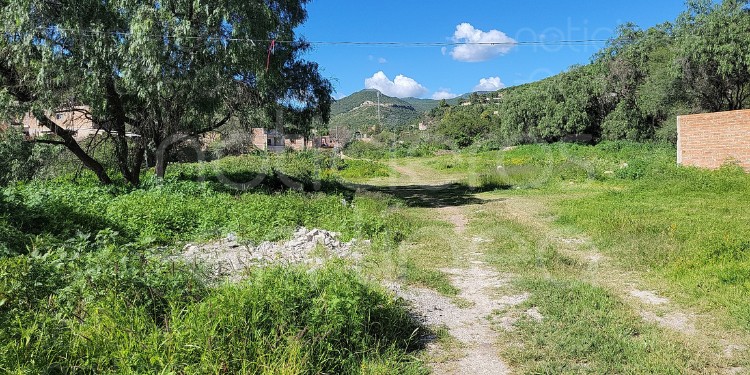 Hallan cuerpo con huellas de violencia en camino a Alfaro, León