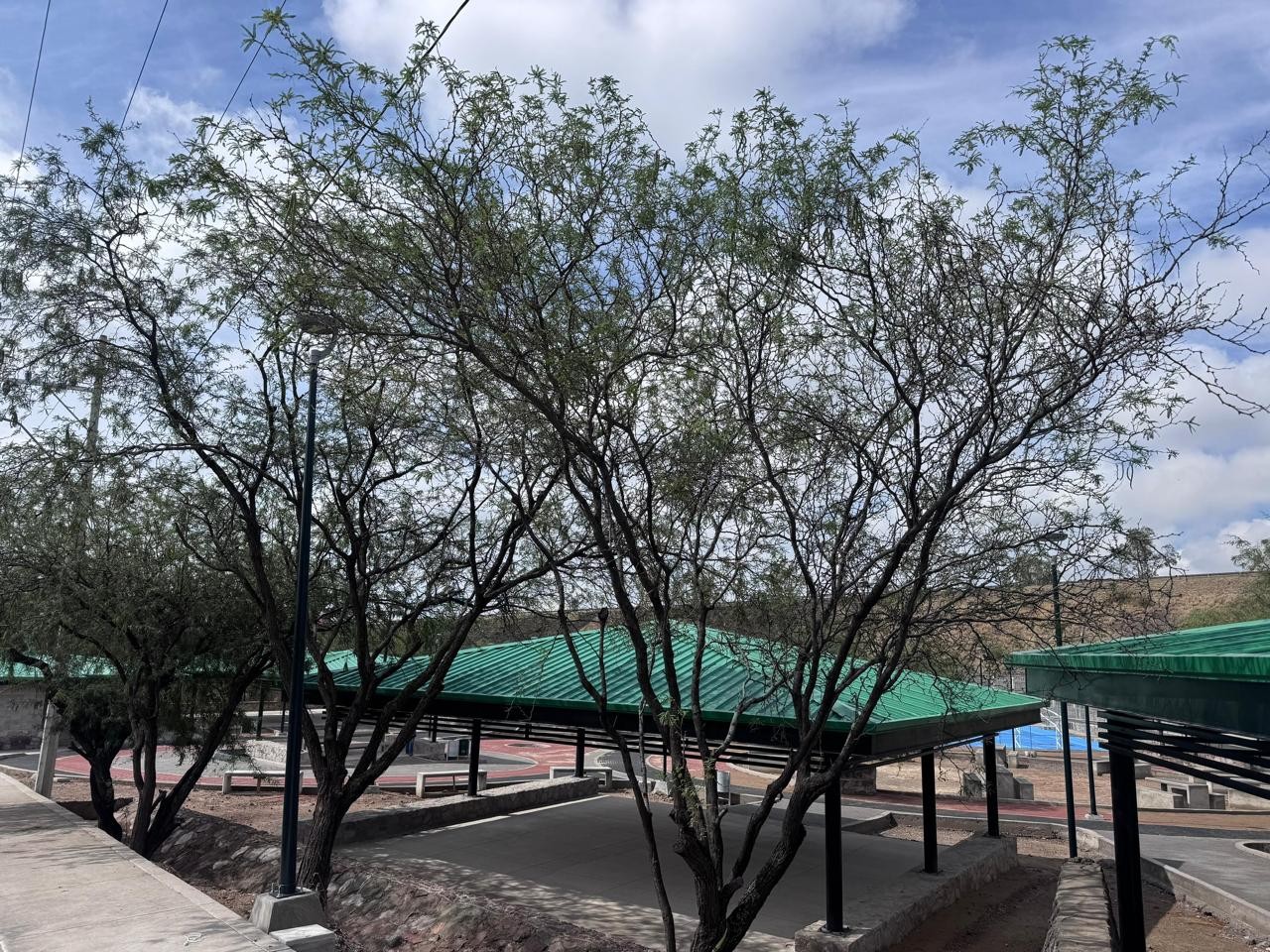 De basurero a pulmón verde: nace el nuevo parque “La Reserva” en León