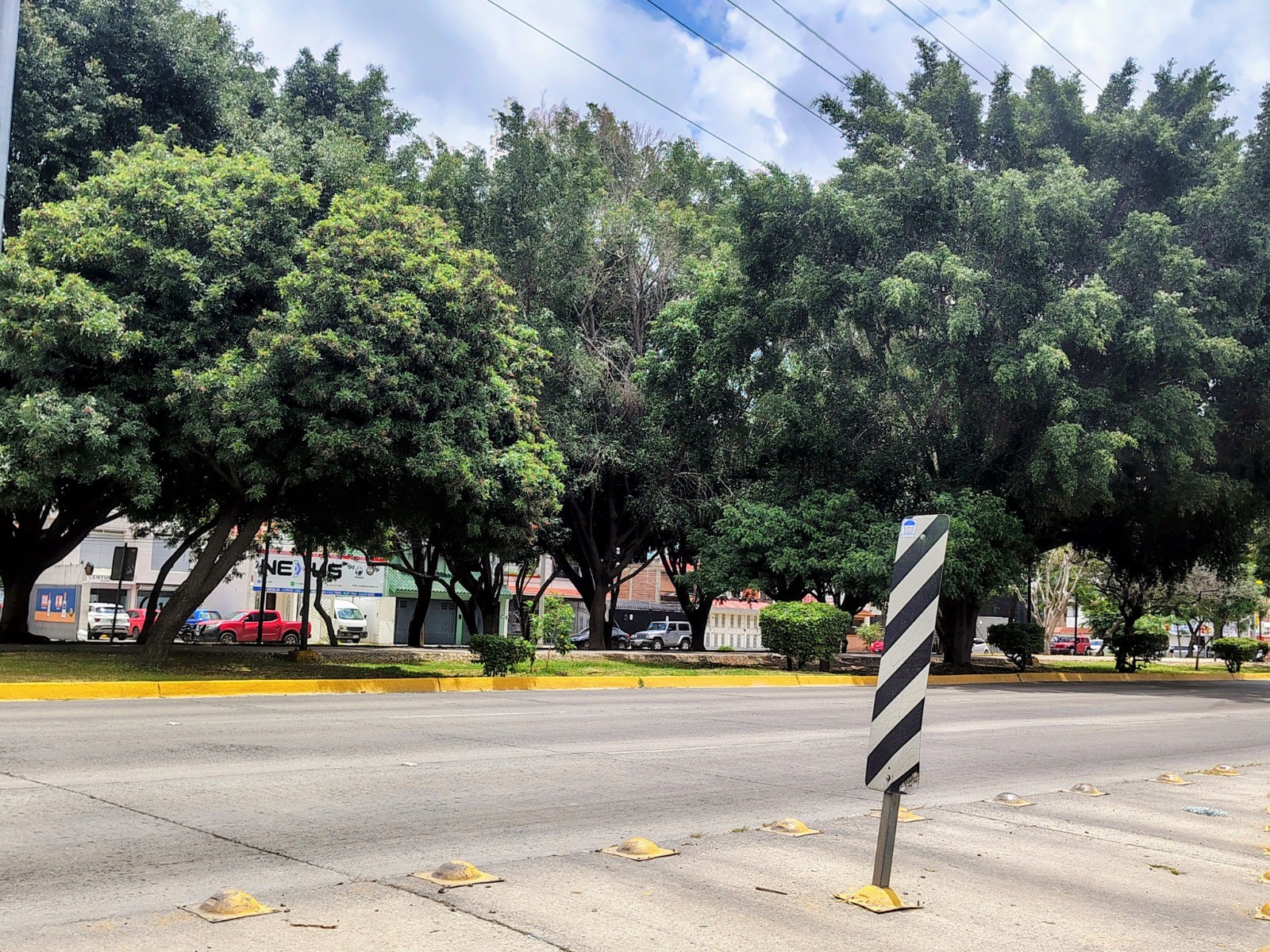 ¿Un parque en pleno camellón? Proponen parque lineal en este bulevar de León