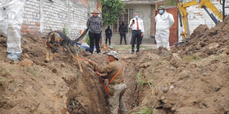 Fiscalía de Guanajuato confirma hallazgo de 32 cuerpos en fosa de Irapuato