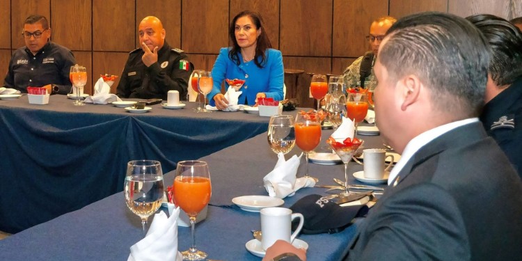 Histórico decomiso de casi 500 mil dosis de droga en León durante el primer semestre