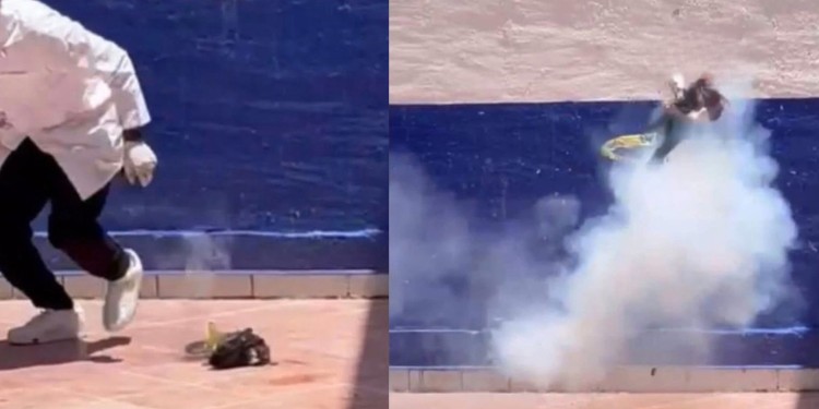 Gobernadora condena crueldad animal en Pénjamo; Fiscalía investiga caso de EDUCEM