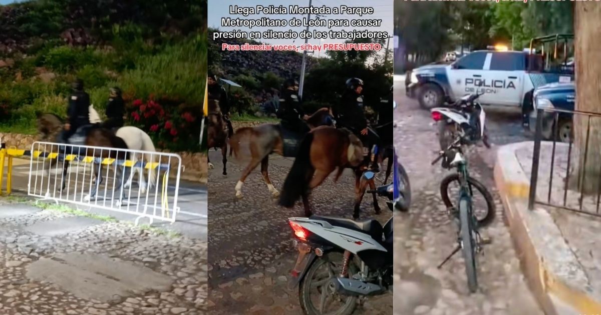 “El miedo no anda en burro, anda a caballo”: empleados denuncian acoso y represión en el Parque Metropolitano de León