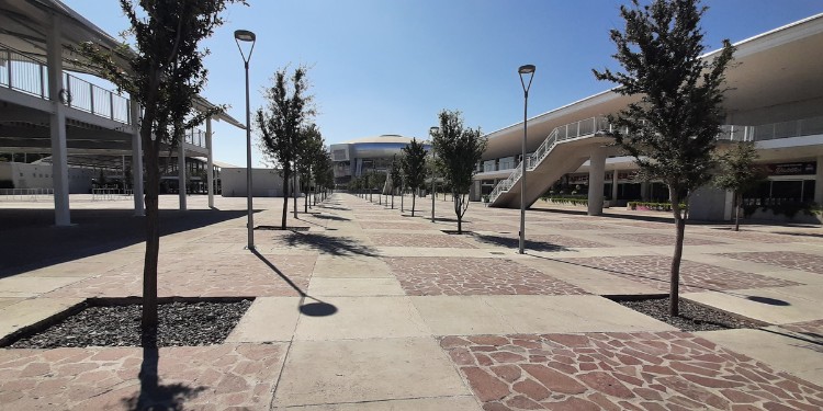 Ayuntamiento de León aprueba instalación de cuatro nuevos bares en el distrito León MX