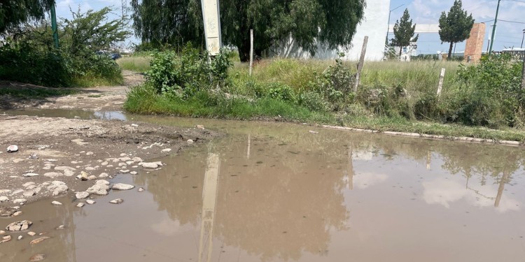 Comerciantes de Villas de Barceló denuncian riesgo sanitario por agua estancada desde hace 5 años