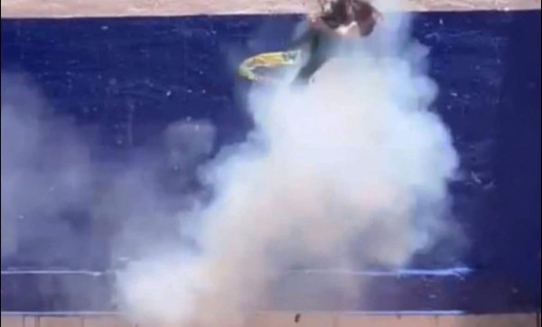 Estudiantes de Criminología de EDUCEM condenan agresión a un gato dentro de la institución