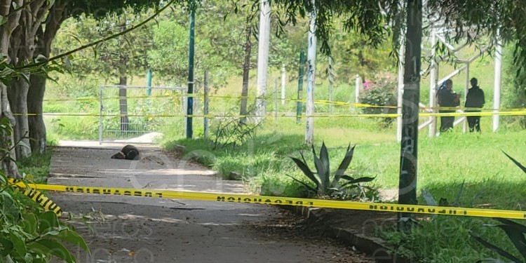 Asesinan a hombre en la colonia Cañada del Real en León