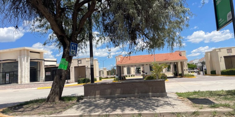 Ruta 93 en León tarda hasta 45 minutos; usuarios prefieren otras opciones