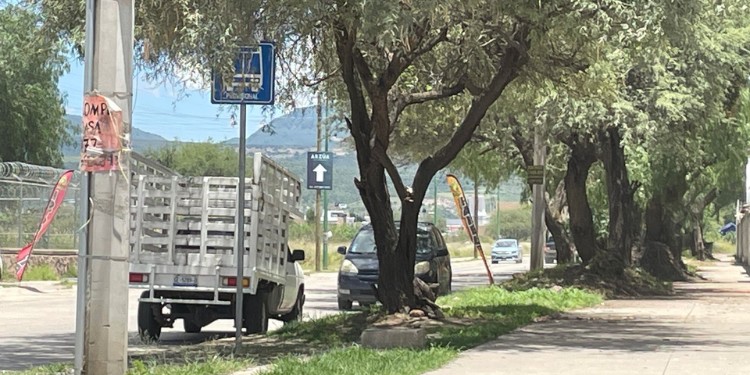 Ruta 93 en León tarda hasta 45 minutos; usuarios prefieren otras opciones