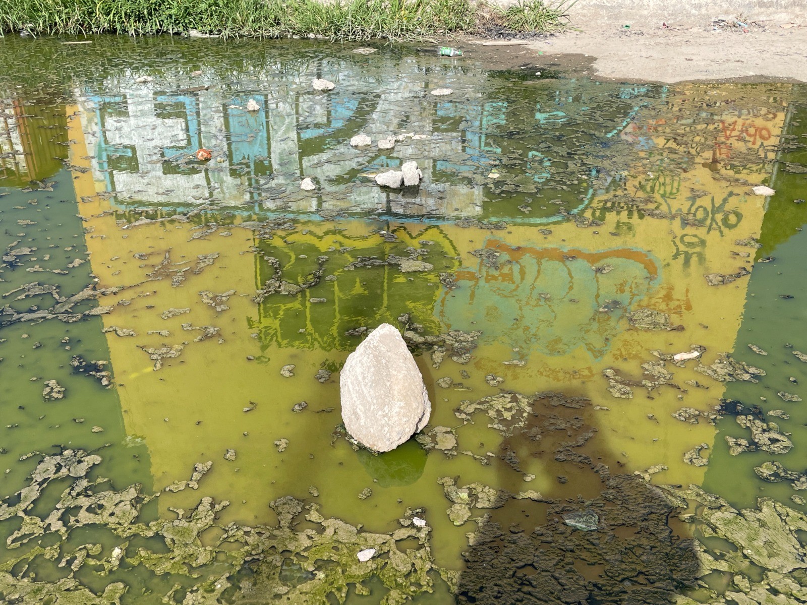 Charco de aguas negras 'ahoga' a vecinos de la colonia Buenos Aires