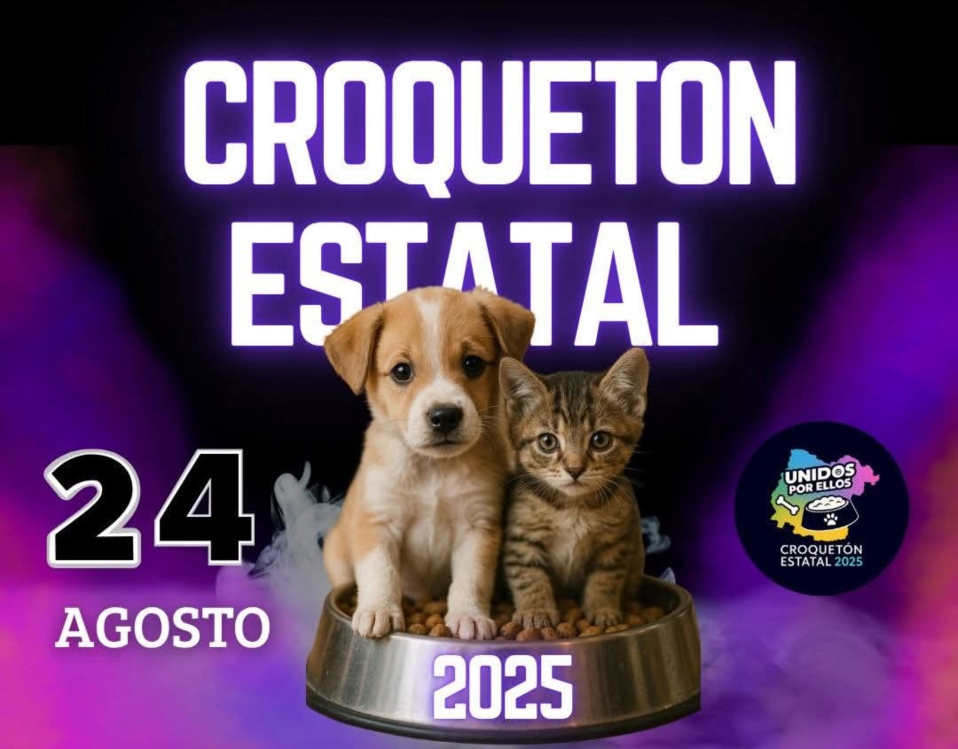 Croquetón Estatal: Así puedes apoyar a los peluditos este domingo en León