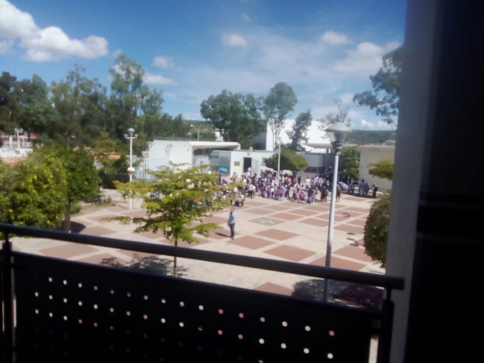 Evacuan a 630 niños en León por enjambre de abejas en escuela