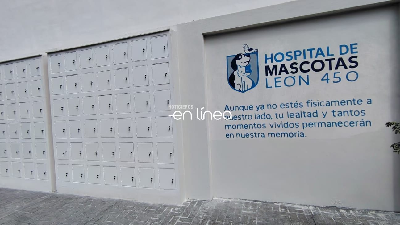 ¿Cuántas mascotas se atienden por día en el Hospital Veterinario de León?