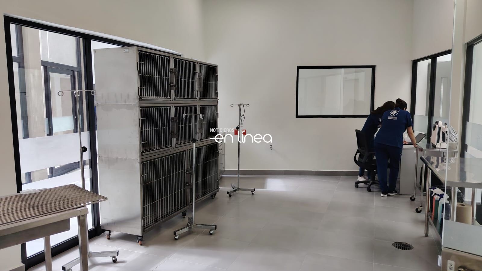 ¿Cuántas mascotas se atienden por día en el Hospital Veterinario de León?