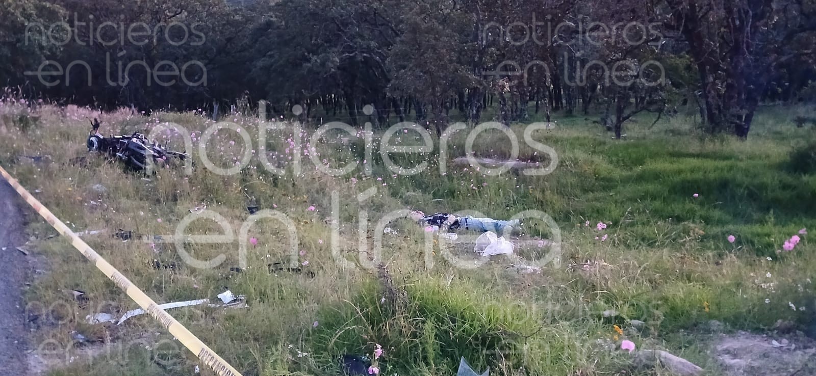 Tragedia en la Sierra de Lobos: joven muere en choque sobre la León–San Felipe