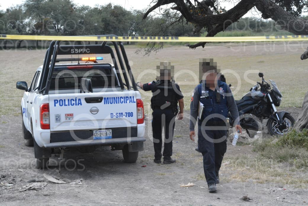 Hallan cadáver devorado por perros en campo de béisbol de León
