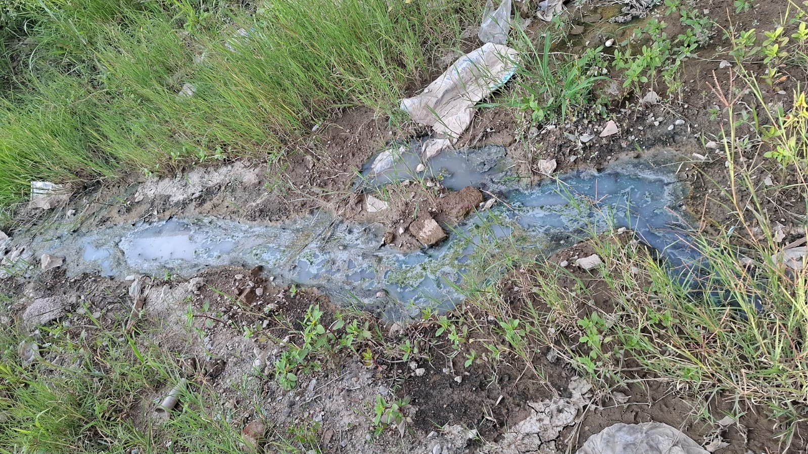 Vecinos denuncian aguas estancadas y basura en Valle de San Carlos; temen brote de dengue