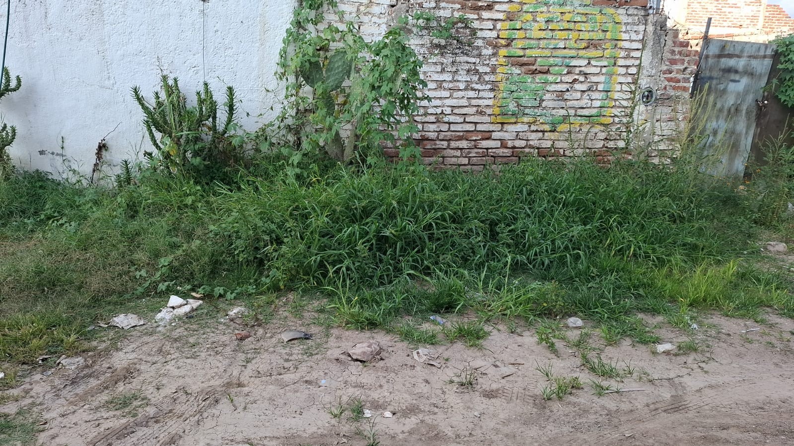 Vecinos denuncian aguas estancadas y basura en Valle de San Carlos; temen brote de dengue