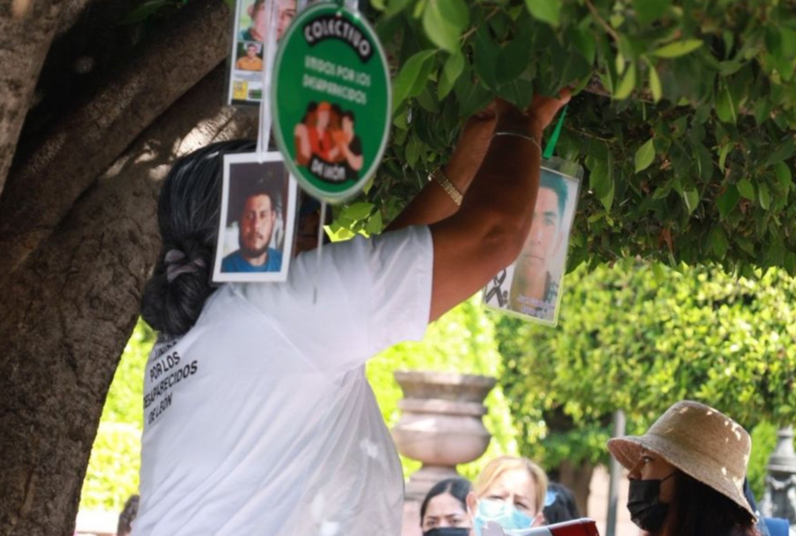 Buscadoras denuncian retiro de fichas del “Árbol de la memoria” en León