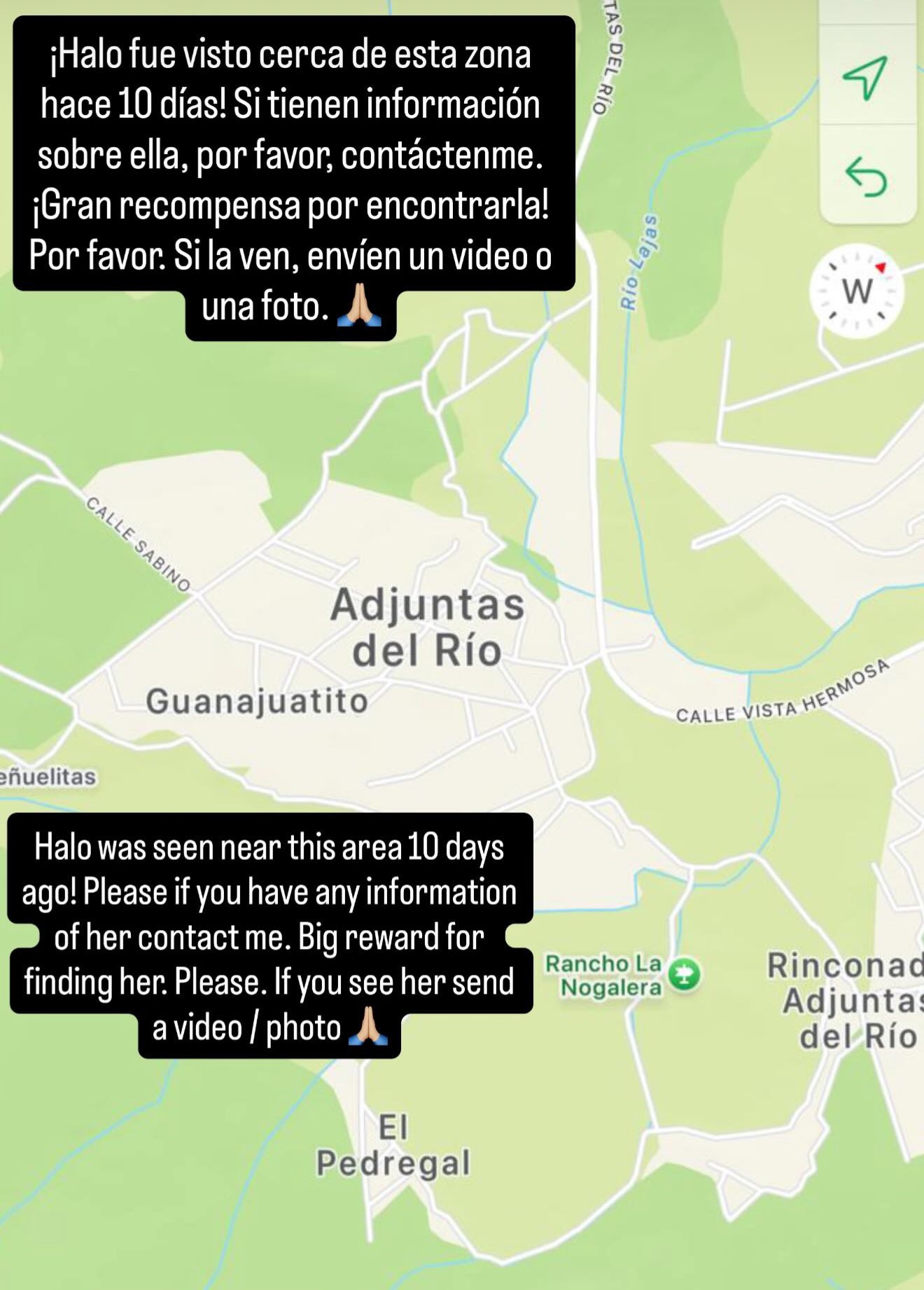 Aaron Ramsey ofrece recompensa por su perrito perdido en San Miguel de Allende