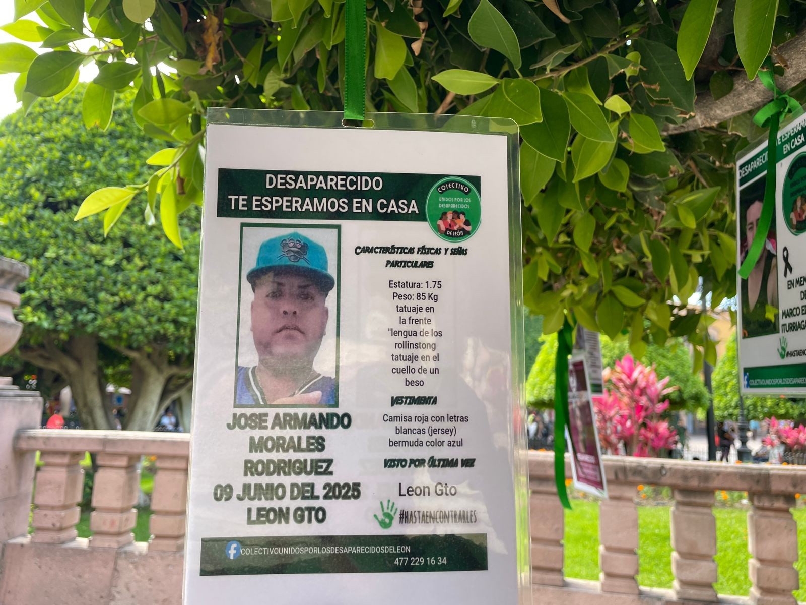 Buscadoras vuelven a colgar fichas de búsqueda “robadas” en el “Árbol de la Memoria” y piden empatía Buscadoras vuelven a colgar fichas de búsqueda “robadas” en el “Árbol de la Memoria” y piden empatía