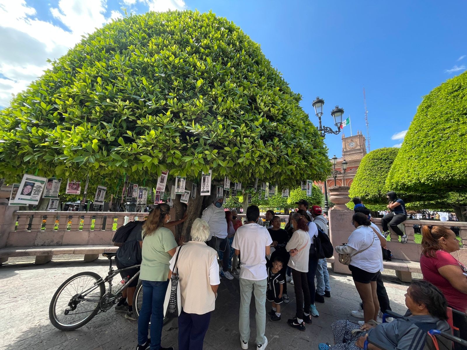 Buscadoras vuelven a colgar fichas de búsqueda “robadas” en el “Árbol de la Memoria” y piden empatía Buscadoras vuelven a colgar fichas de búsqueda “robadas” en el “Árbol de la Memoria” y piden empatía