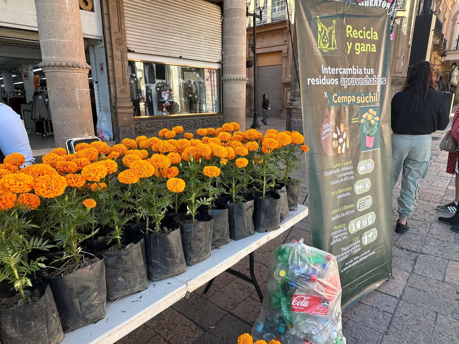 Canjea residuos reciclables por flores de cempasúchil en León: fechas, horarios y puntos de canje