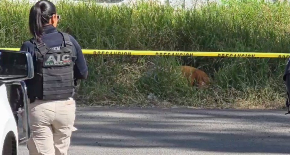 Guanajuato baja homicidios, pero sigue entre los más violentos del país