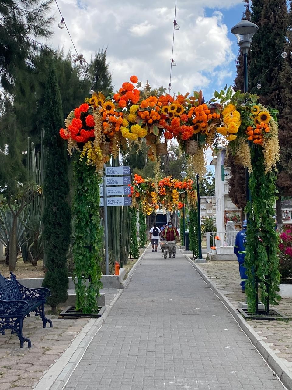 León: Comercio prohibirá venta dentro de panteones por Día de Muertos y vigilará con inspectores