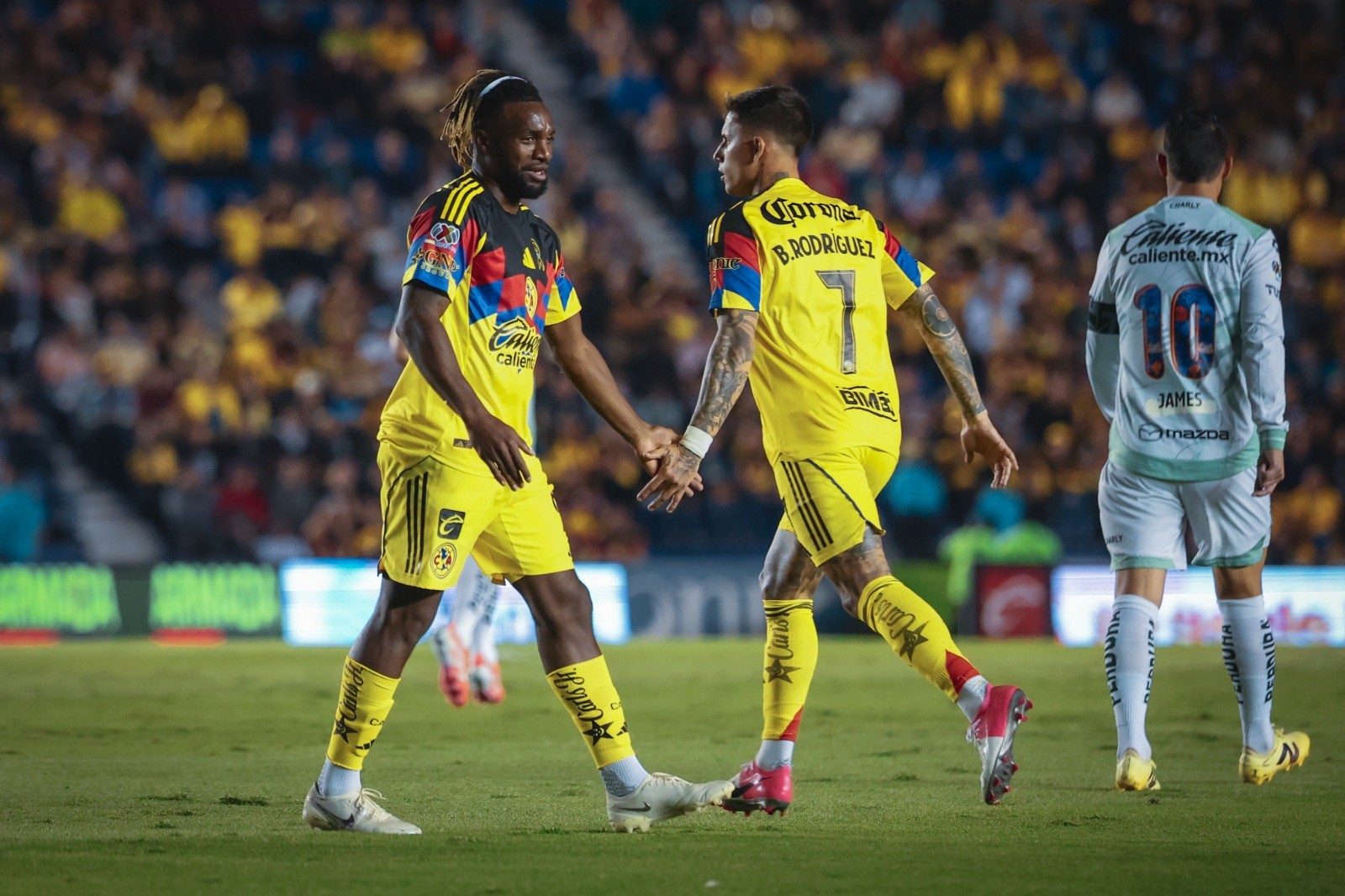 La fiera casi, casi...firmaría su peor torneo, desde su regreso al máximo circuito en 2012