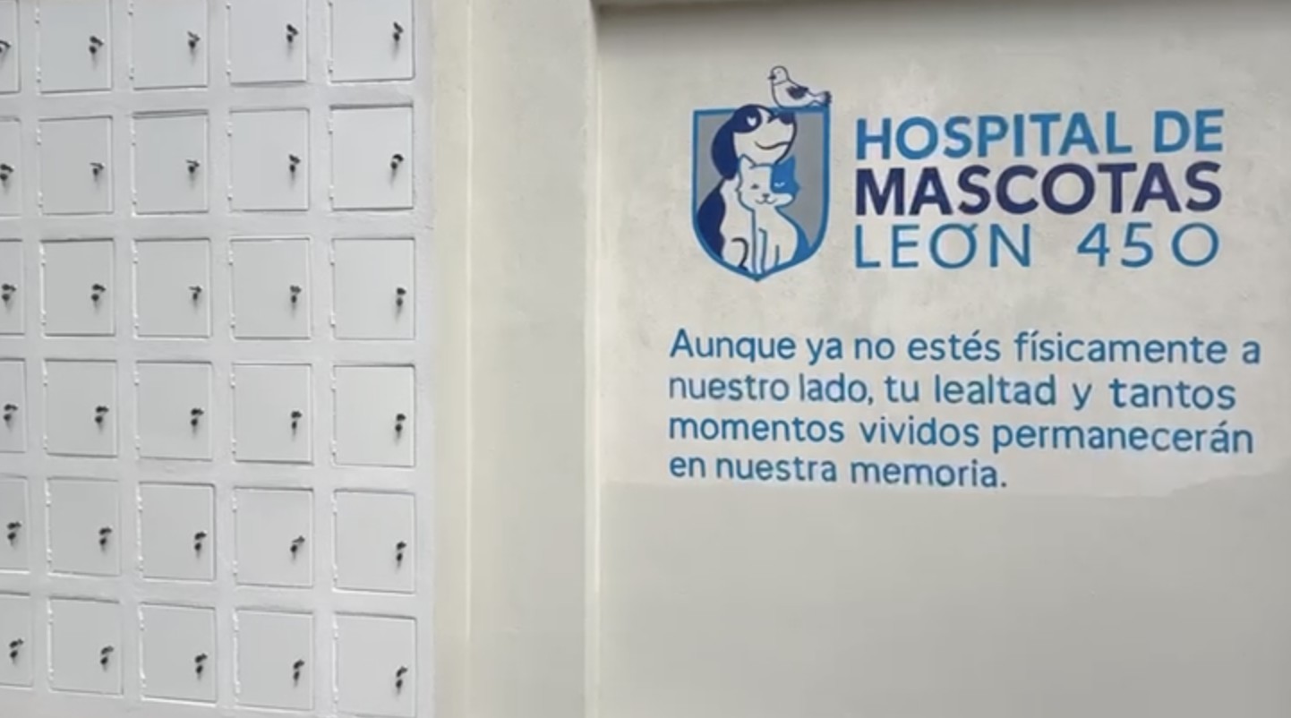 Hospital Veterinario de León supera las 250 cremaciones de mascotas en cuatro meses