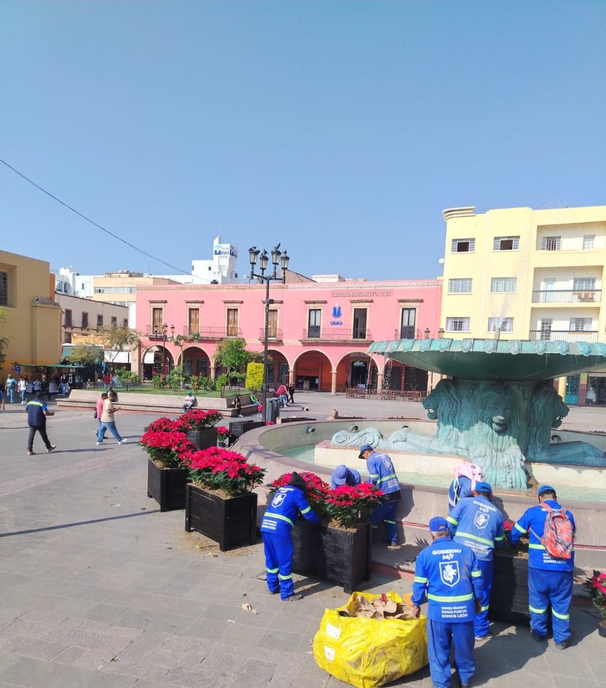 Nochebuenas invaden plazas de León; así puedes canjear residuos por macetas gratis