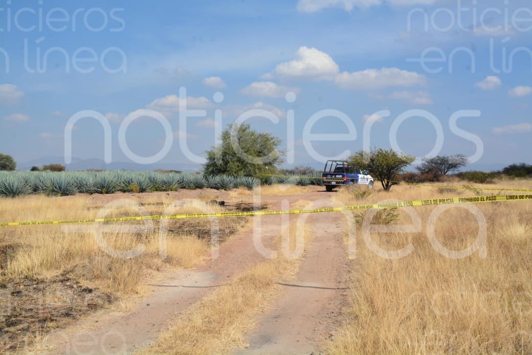 Macabro hallazgo en Silao: cuerpo calcinado aparece entre cultivos Macabro hallazgo en Silao: cuerpo calcinado aparece entre cultivos