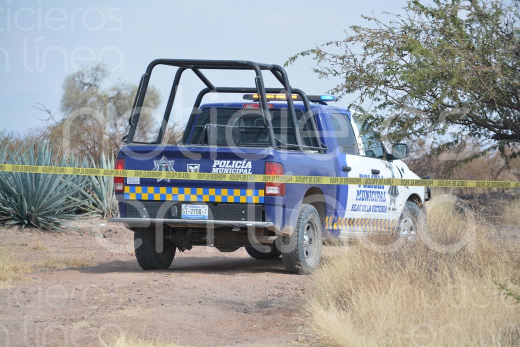 Macabro hallazgo en Silao: cuerpo calcinado aparece entre cultivos Macabro hallazgo en Silao: cuerpo calcinado aparece entre cultivos
