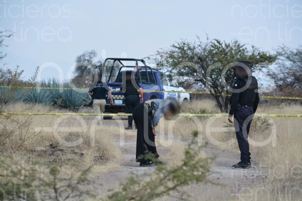Macabro hallazgo en Silao: cuerpo calcinado aparece entre cultivos