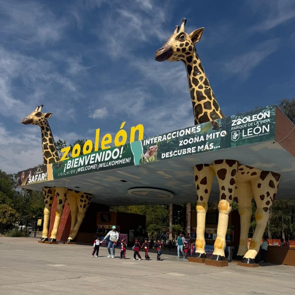 Morena exige auditoría al Zoológico de León ante quejas, bajas de animales y falta de certificaciones