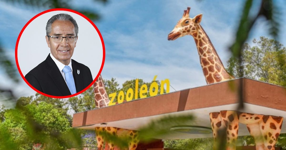 Director del Zoológico plantea su renuncia en medio de muertes de animales y escándalos