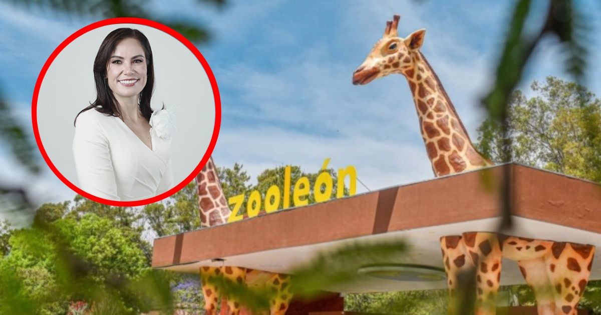 Rompe el silencio: alcaldesa habla del mono araña y posible renuncia del director del Zoológico de León