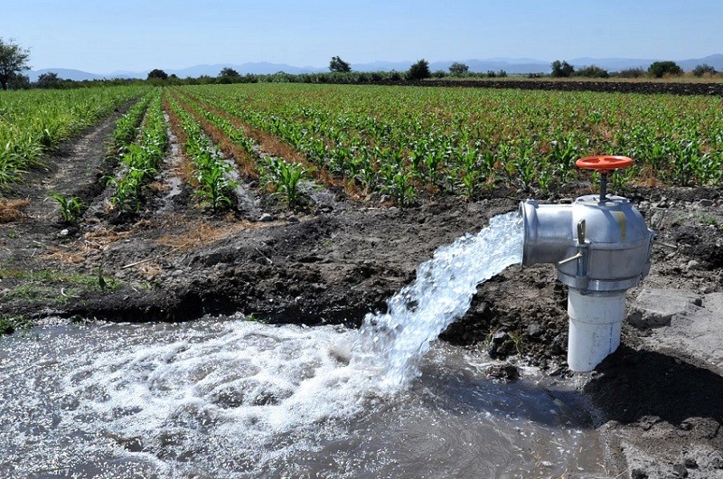 Fugas y sobreexplotación afectan al campo; modernización promete más agua y mejores cosechas