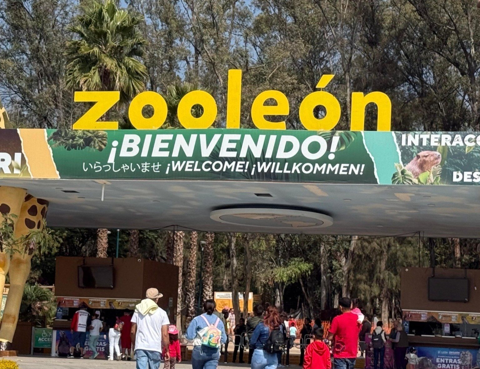 ¿Clausuraron el Zoológico de León? Esto sabemos sobre el presunto cierre temporal