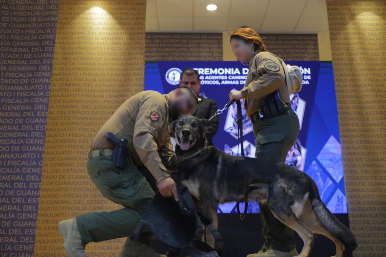 Fiscalía de Guanajuato jubiló a seis agentes caninos y presentó nuevos binomios K9