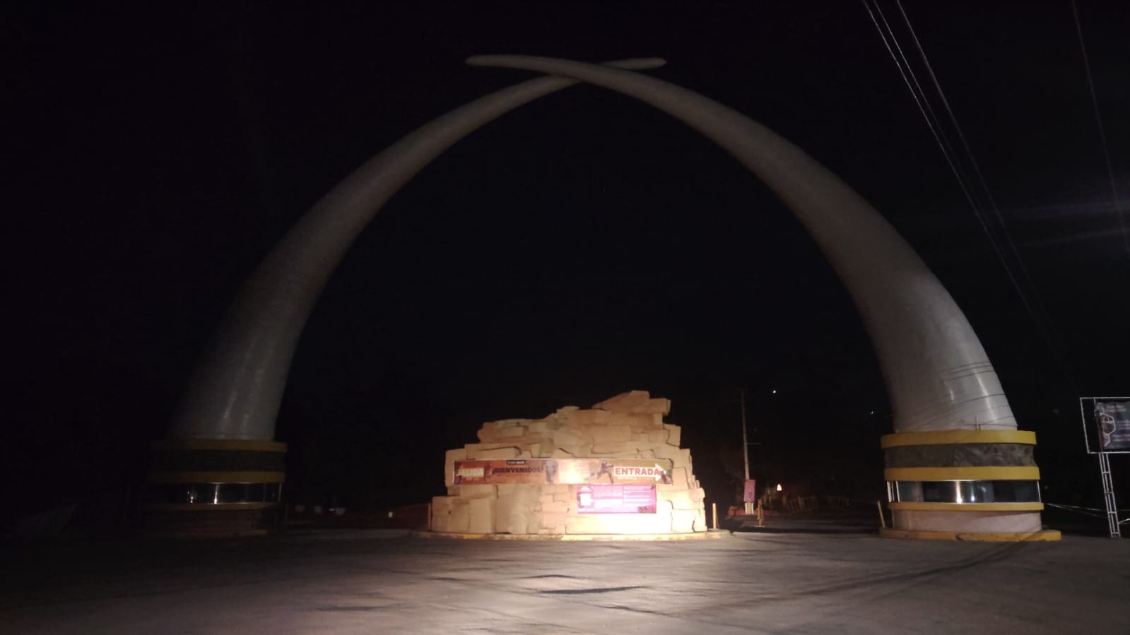 Zoológico de León bajo la lupa: Profepa ordena clausura temporal tras detectar irregularidades