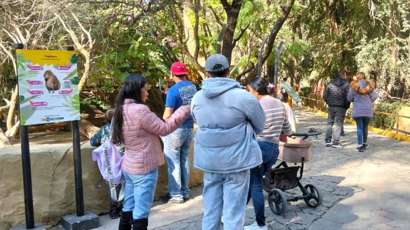 Zoológico de León reabre tras cumplir observaciones de Profepa por muerte de animales