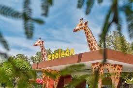 Despido en el Zoológico de León deriva en queja por acoso laboral ante la PRODHEG