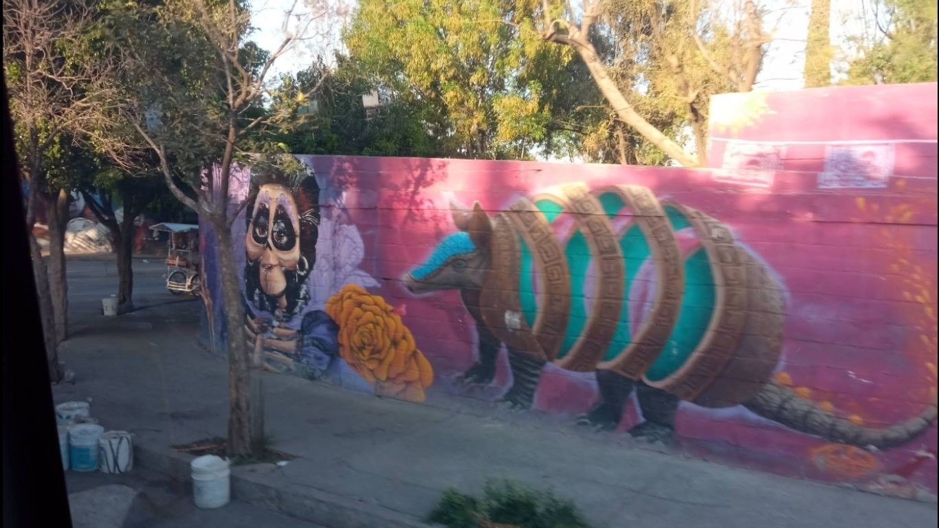 Joven permanece cuatro días atrapada en una tumba por presunto secuestro virtual en León